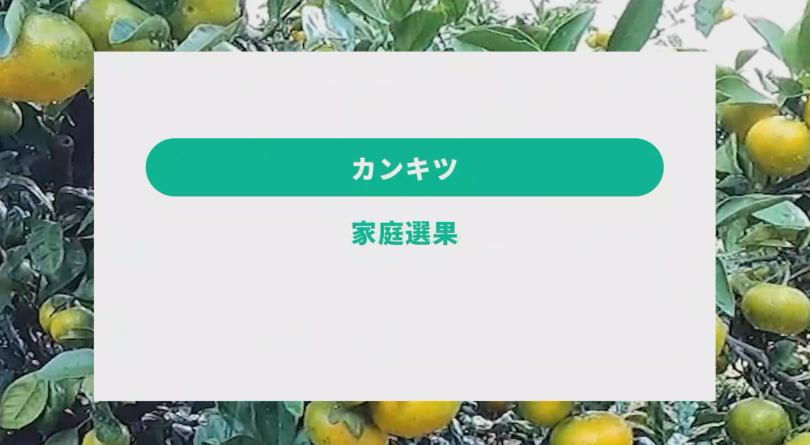 農作業の解説動画【カンキツ関連】②家庭選果