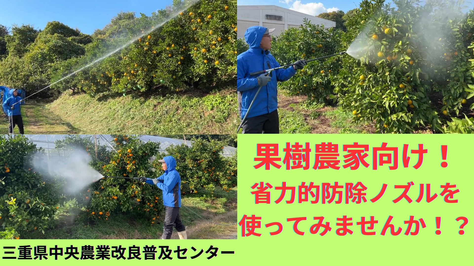 【果樹の省力化！】果樹農家向け！省力的な防除ノズルを紹介します！
