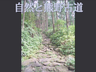 中学生が作成した熊野古道のＣＭ「B班」：県内の中学生が作成した熊野古道馬越峠のＣＭです。（B班作成）