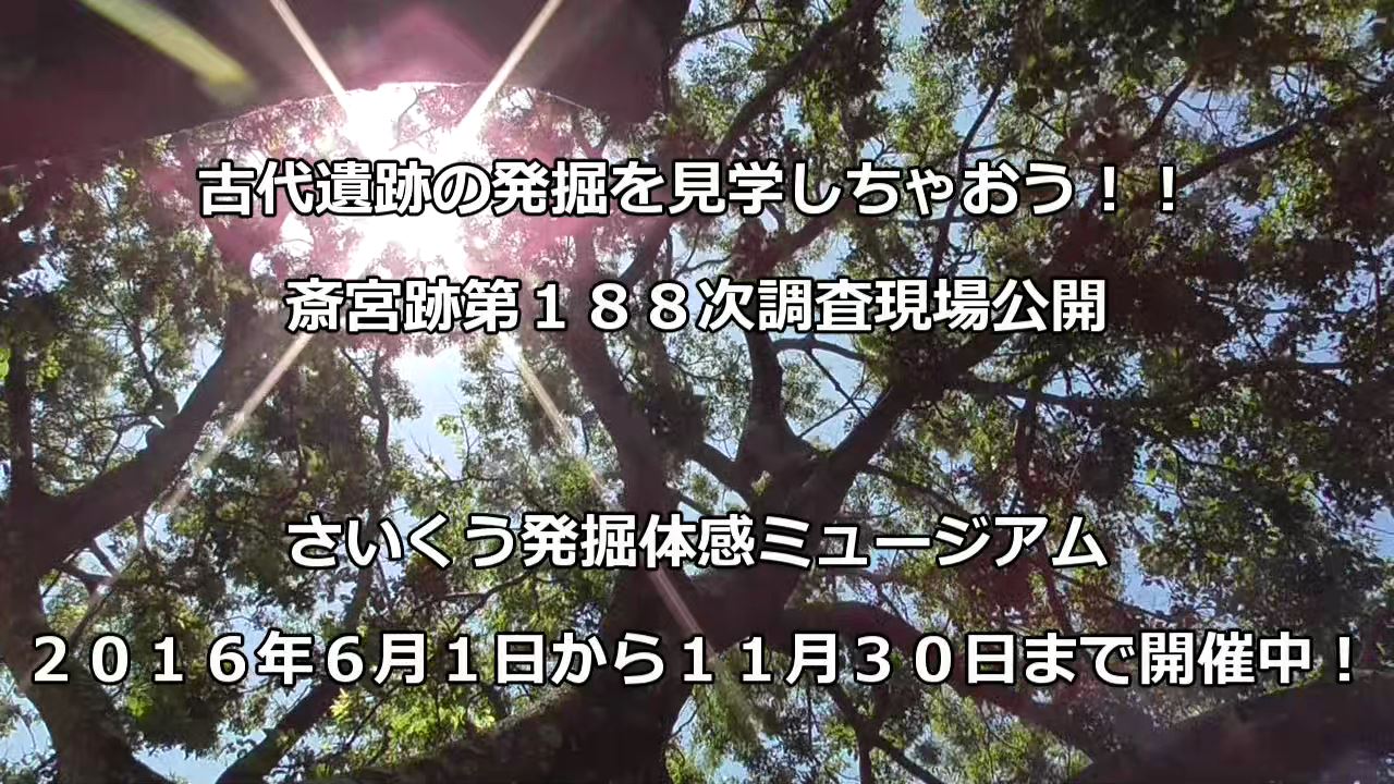 さいくう発掘体感ミュージアム その２