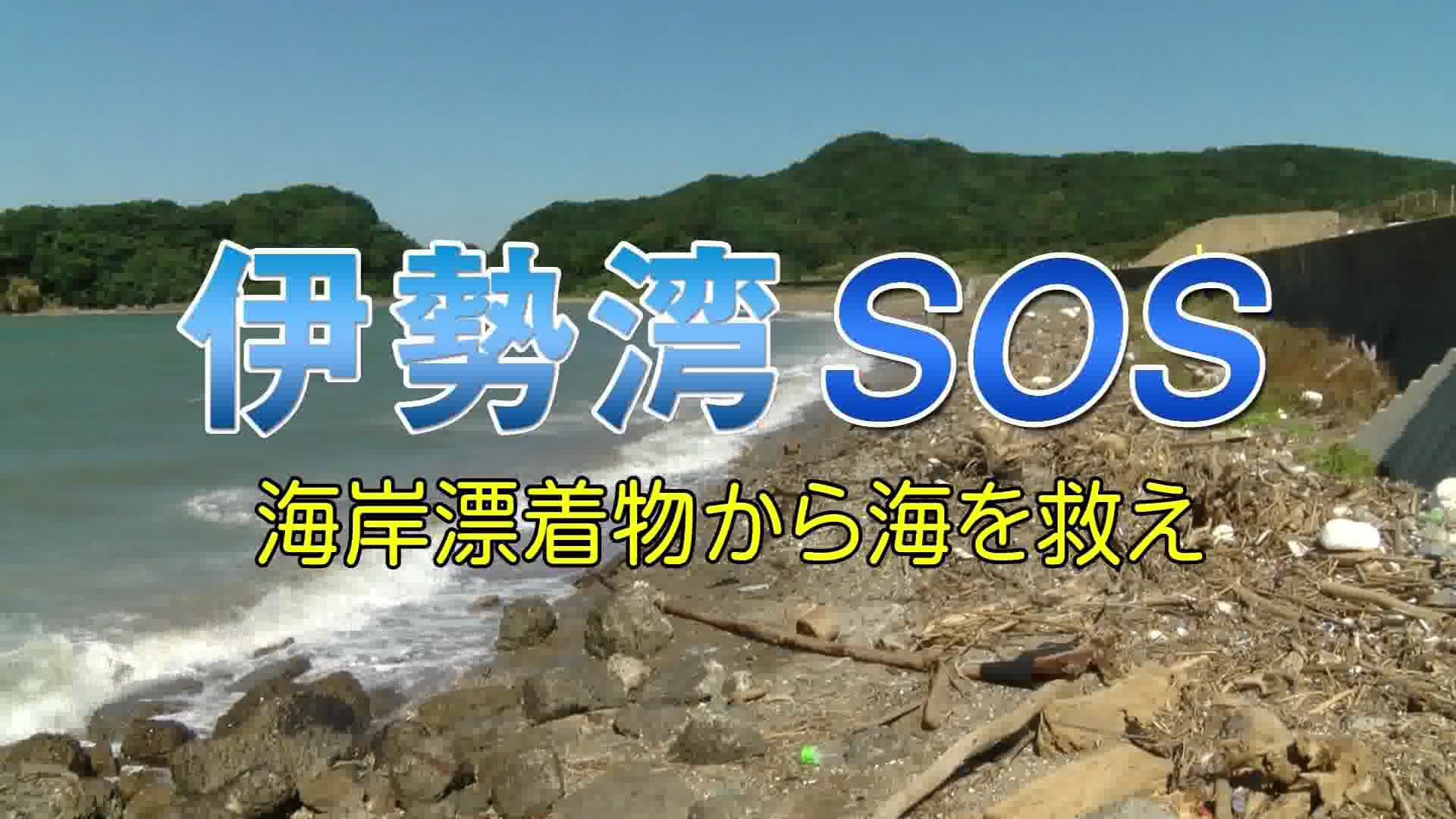 伊勢湾SOS_海岸漂着物から海を救え