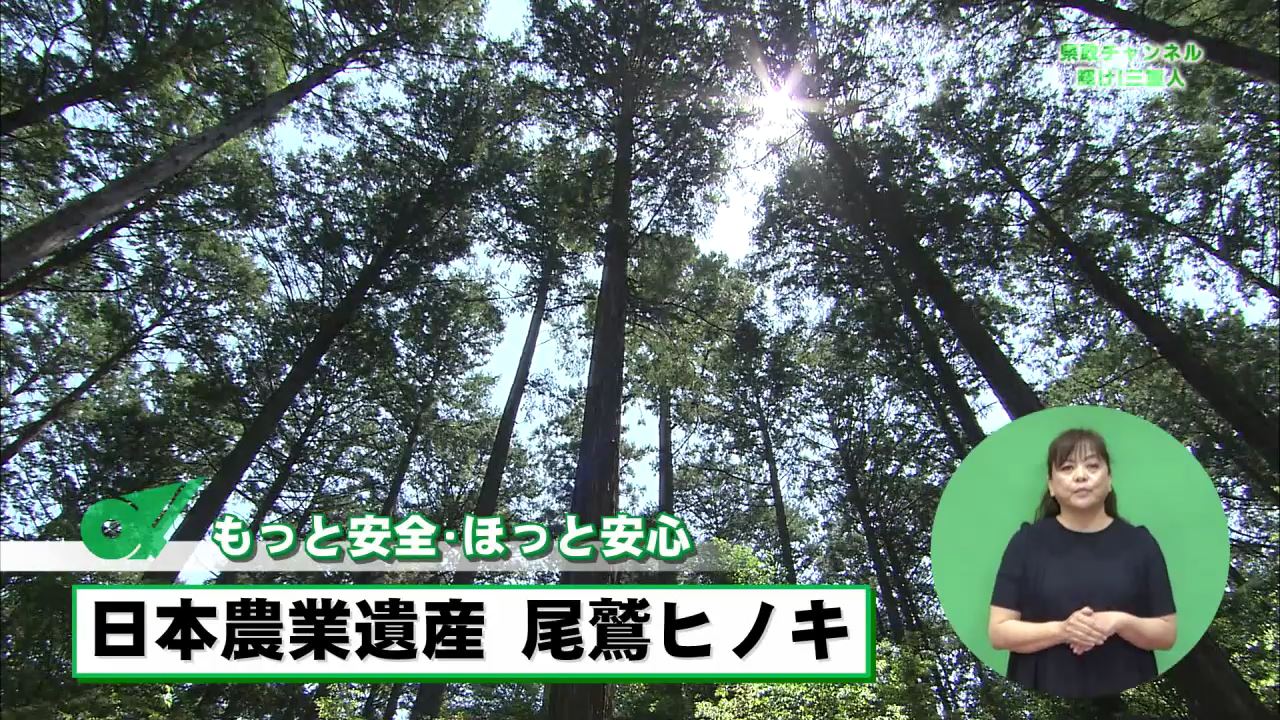 もっと安全・ほっと安心　日本農業遺産　尾鷲ヒノキ