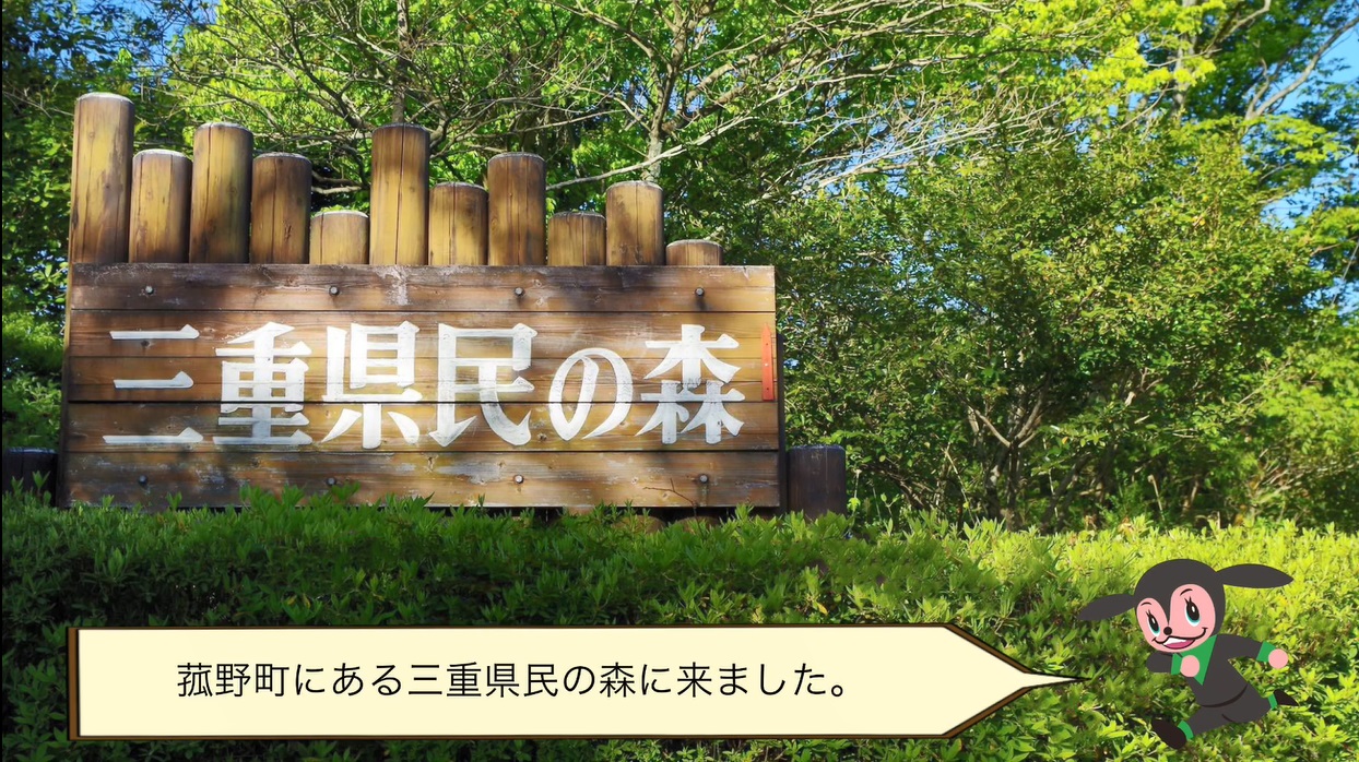 三重県民の森（令和元年11月号）