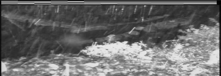 西之貝戸川上流のカメラ画像