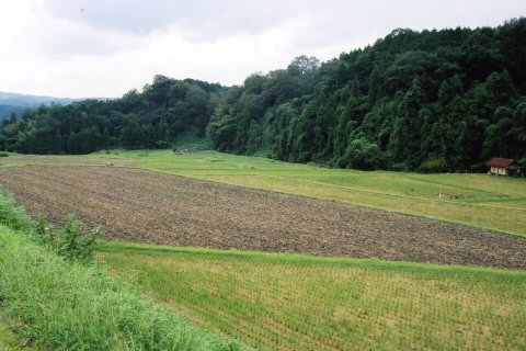 弾薬庫のあった山