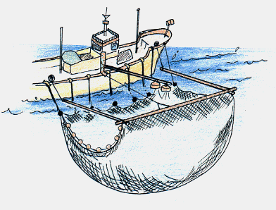 棒受け網漁船の操業風景の絵
