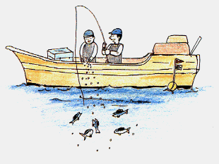 餌を撒いて魚を集めて釣りをしているイラスト