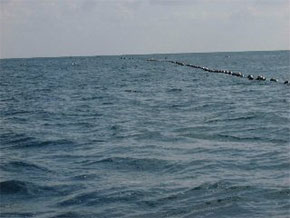定置網の漁具を岸側から見た写真