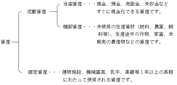 資産は流動資産と固定資産に大別できます。流動資産は現金や預金などすぐに現金にできる当座資産と、肥料や農薬、生産中の作物などの棚卸し資産の2つに分けられます。固定資産は機械や施設などです。