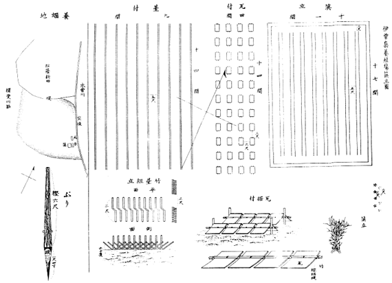 この図の表題は「ヒビ立図」となっているが、試験場ではヒビ立（ひびだて）、瓦付（かわらつけ）、台付（だいつけ・竹組の台）の3つの方法が試みられたことがわかる。