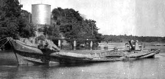 カタクチイワシの蓄養船。昭和27年4月