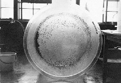 昭和49年当時のアコヤガイ飼育水槽と底に付着した稚貝