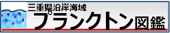 三重県沿岸海域プランクトン図鑑