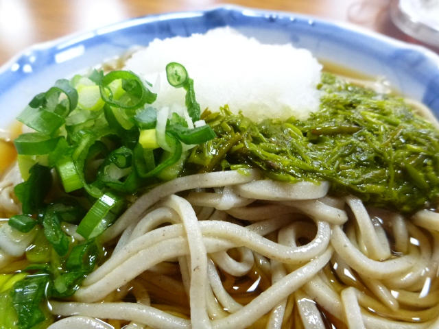 アカモク 食べ 方