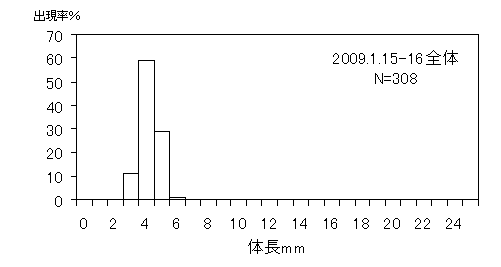 イカナゴ体長頻度分布2008年1月15日16日
