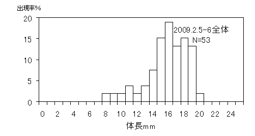 イカナゴ体長頻度分布2008年2月5日6日