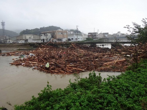 橋梁に押し寄せた大量の流木