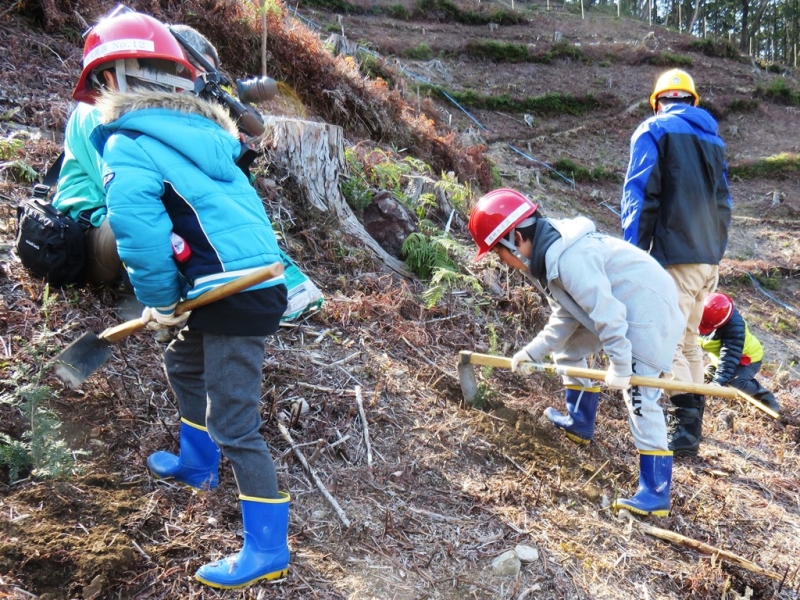 矢口小学校児童植樹