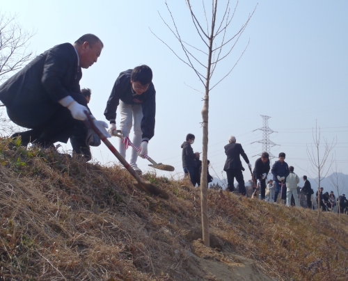 大岡寺畷への植栽の様子