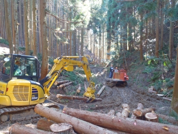 高性能林業機械による運材の様子