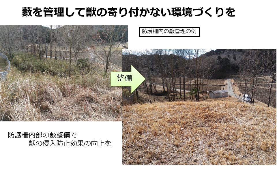 藪管理