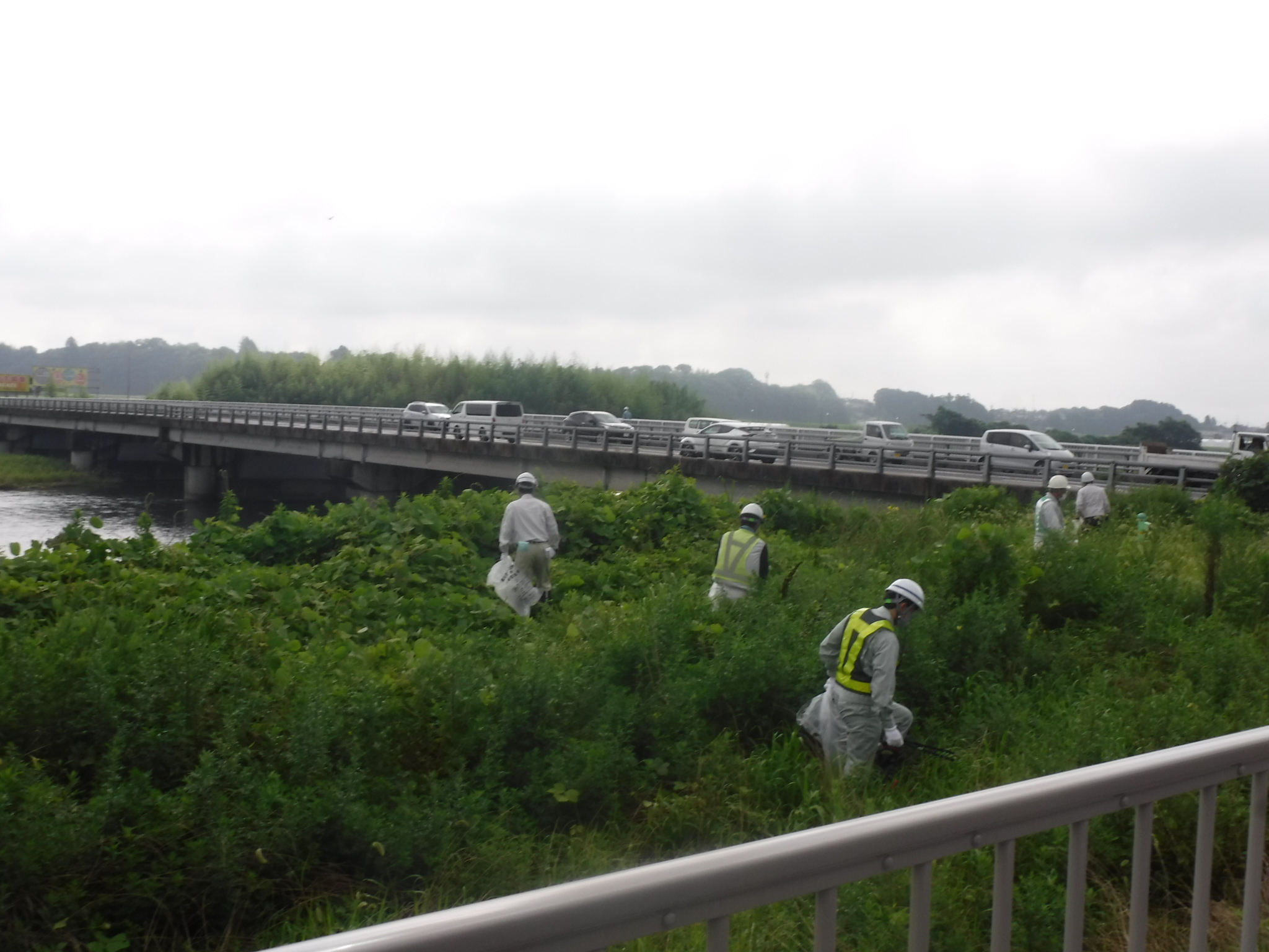 員弁川河川清掃写真２