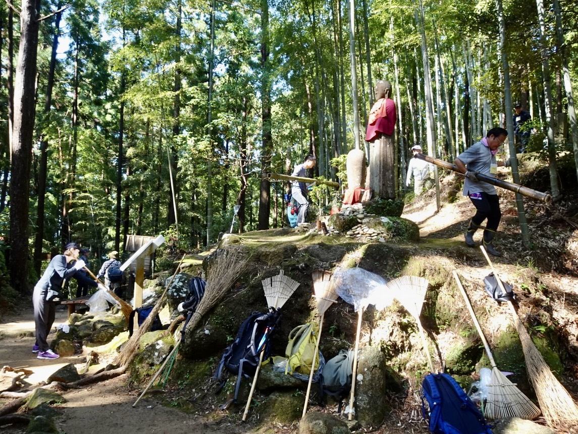 活動の様子（竹林整備）