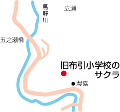 旧布引小学校のサクラ周辺地図