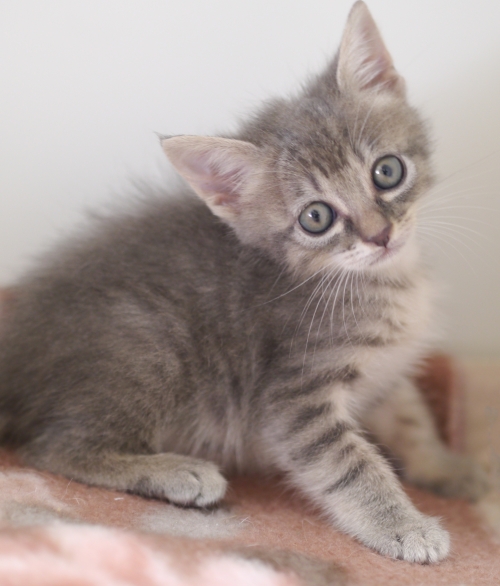 左寄せパターン