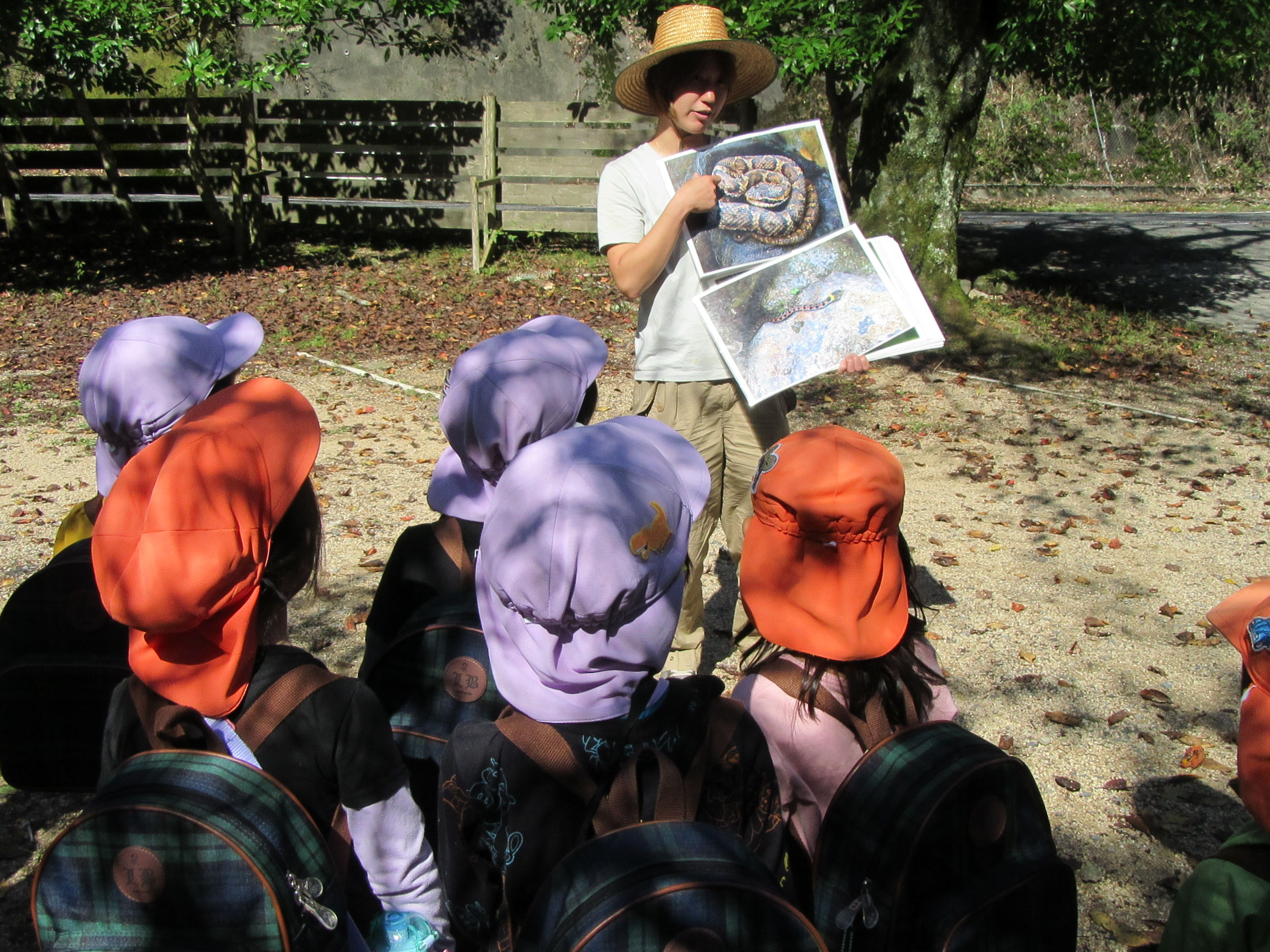 1グループに複数の画像を表示1