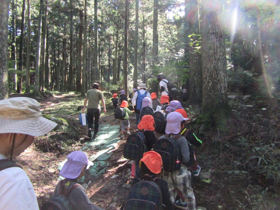 1グループに複数の画像を表示2