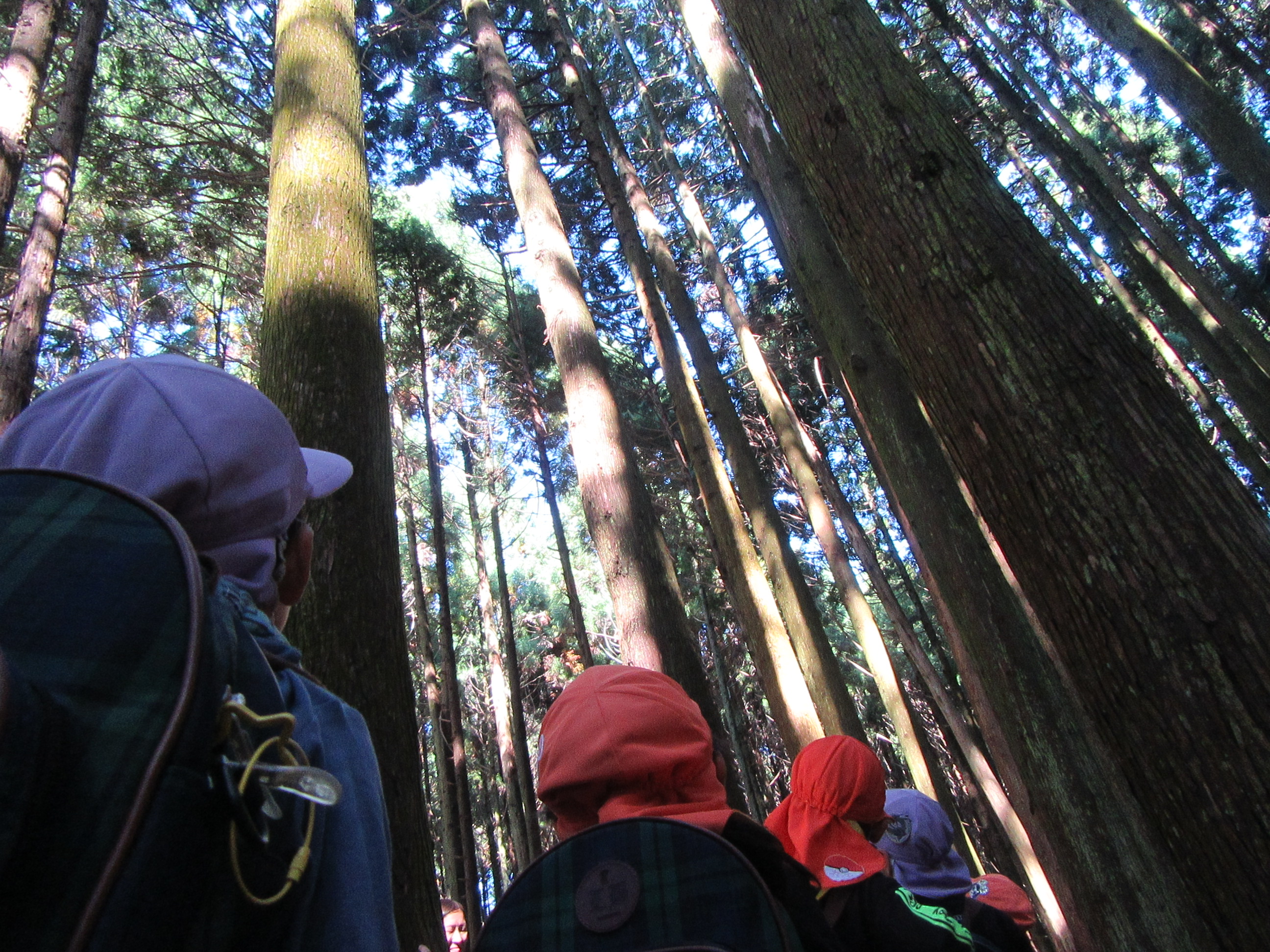 1グループに複数の画像を表示3