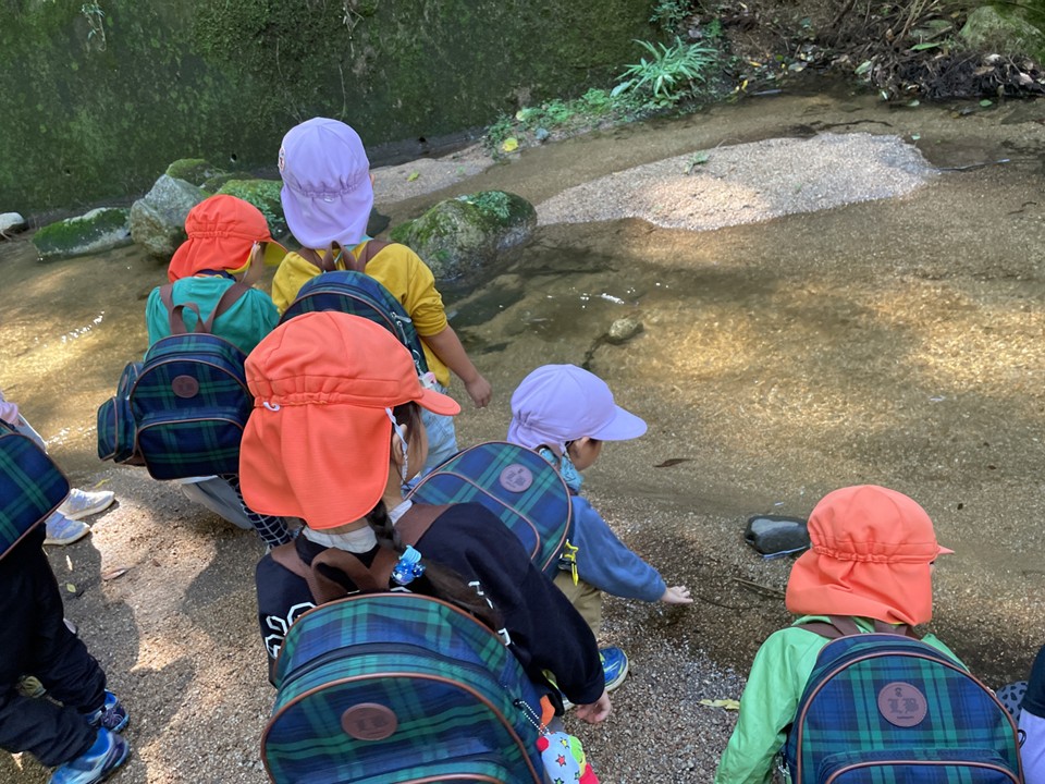 1グループに複数の画像を表示2