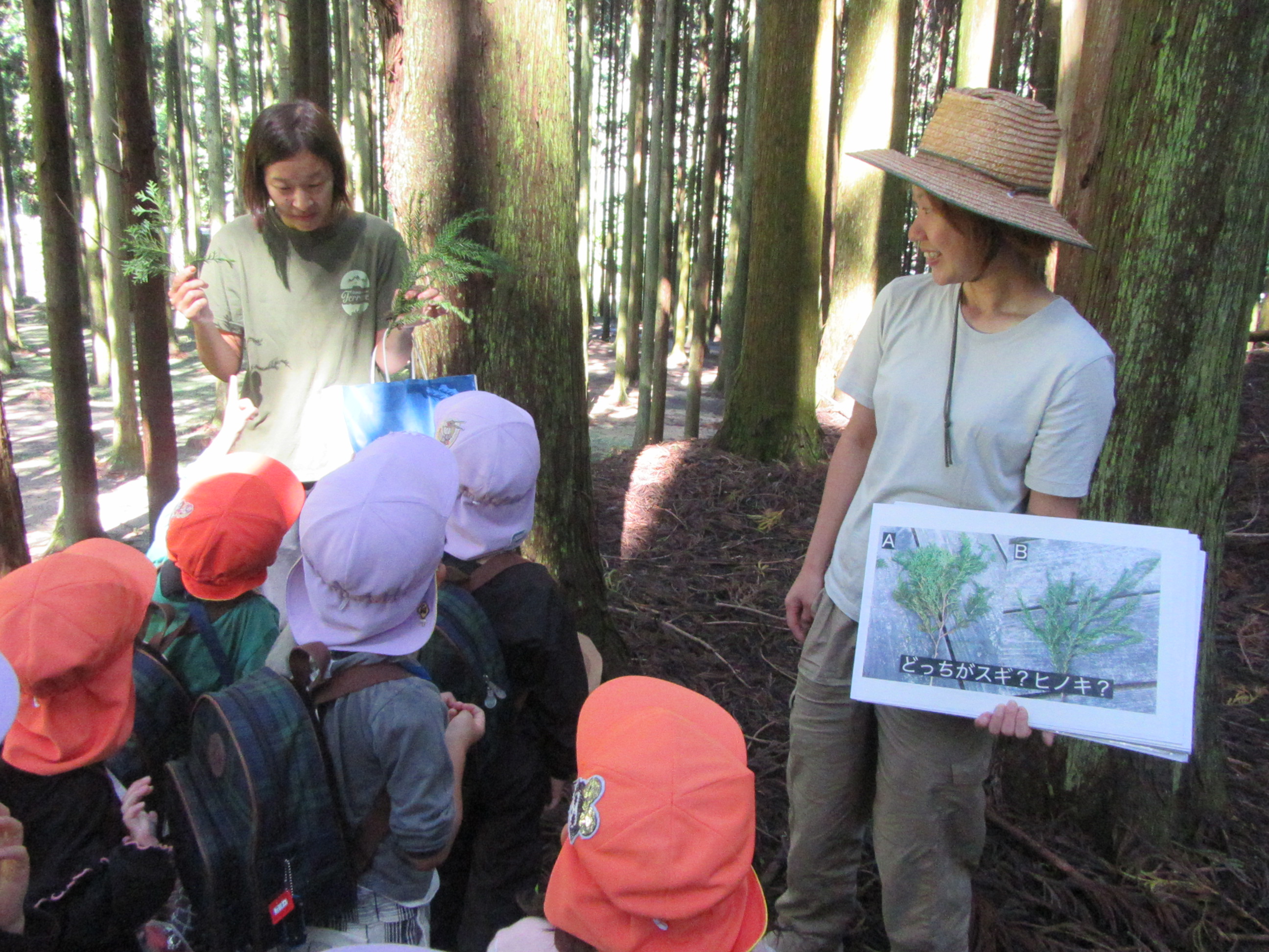 1グループに複数の画像を表示1