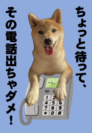 プラスで始まる国際電話には出ない！