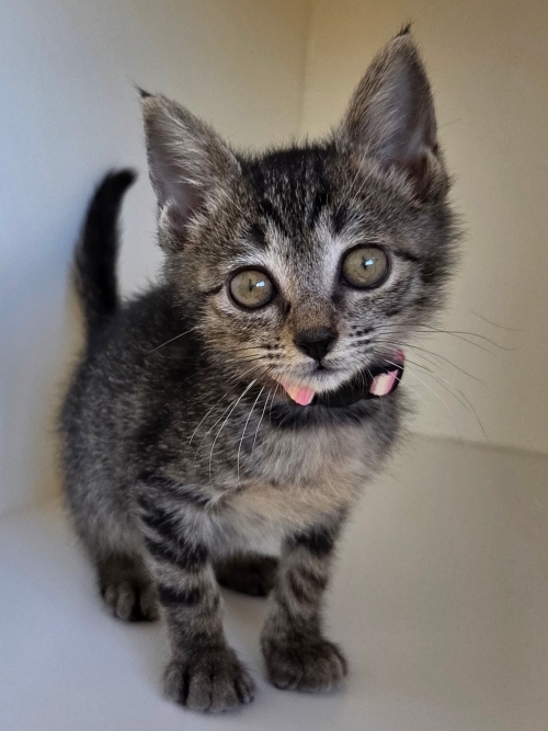 左寄せパターン