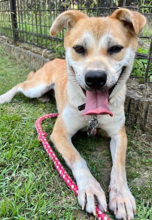 左寄せパターン