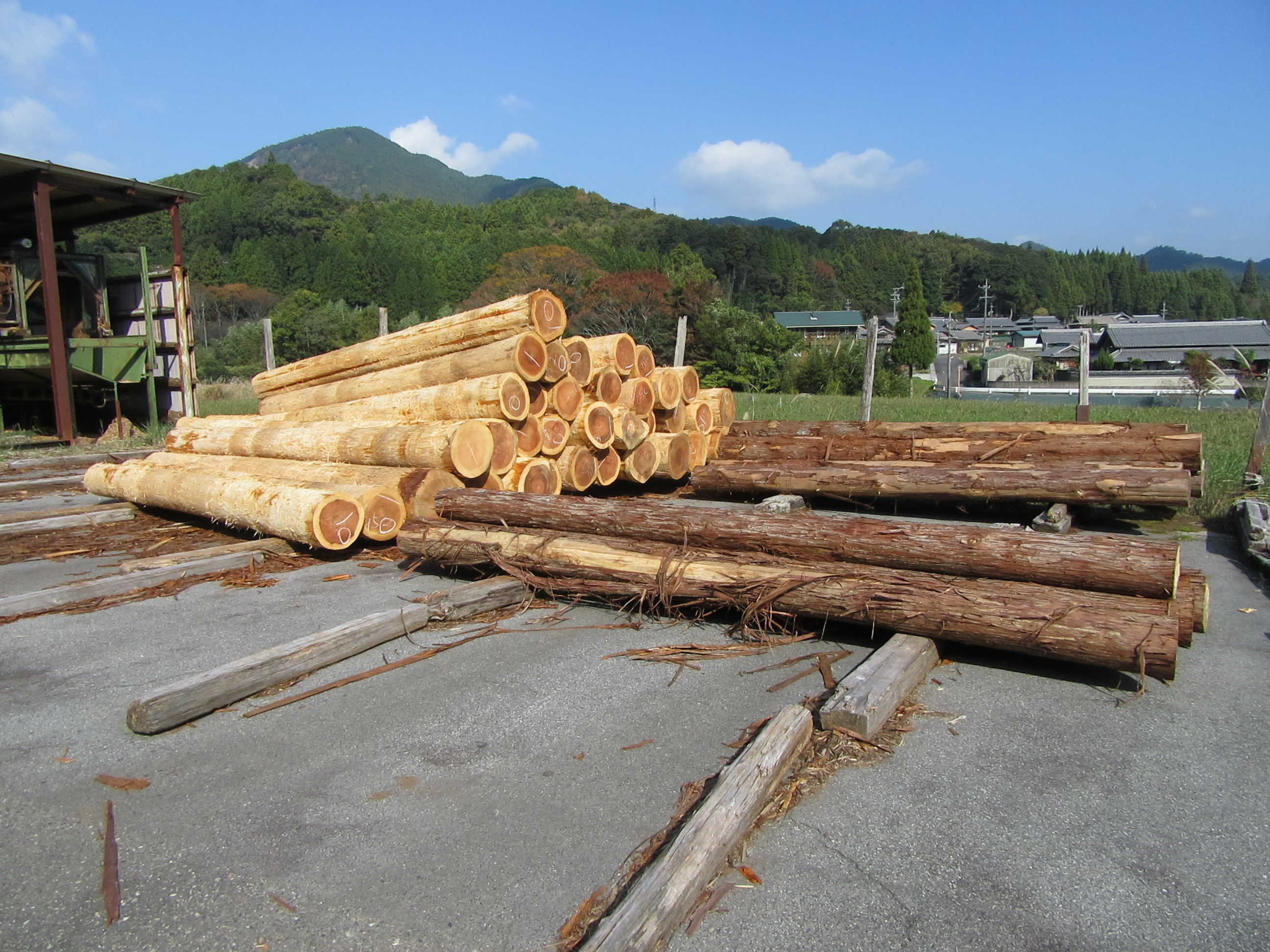 1グループに複数の画像を表示1