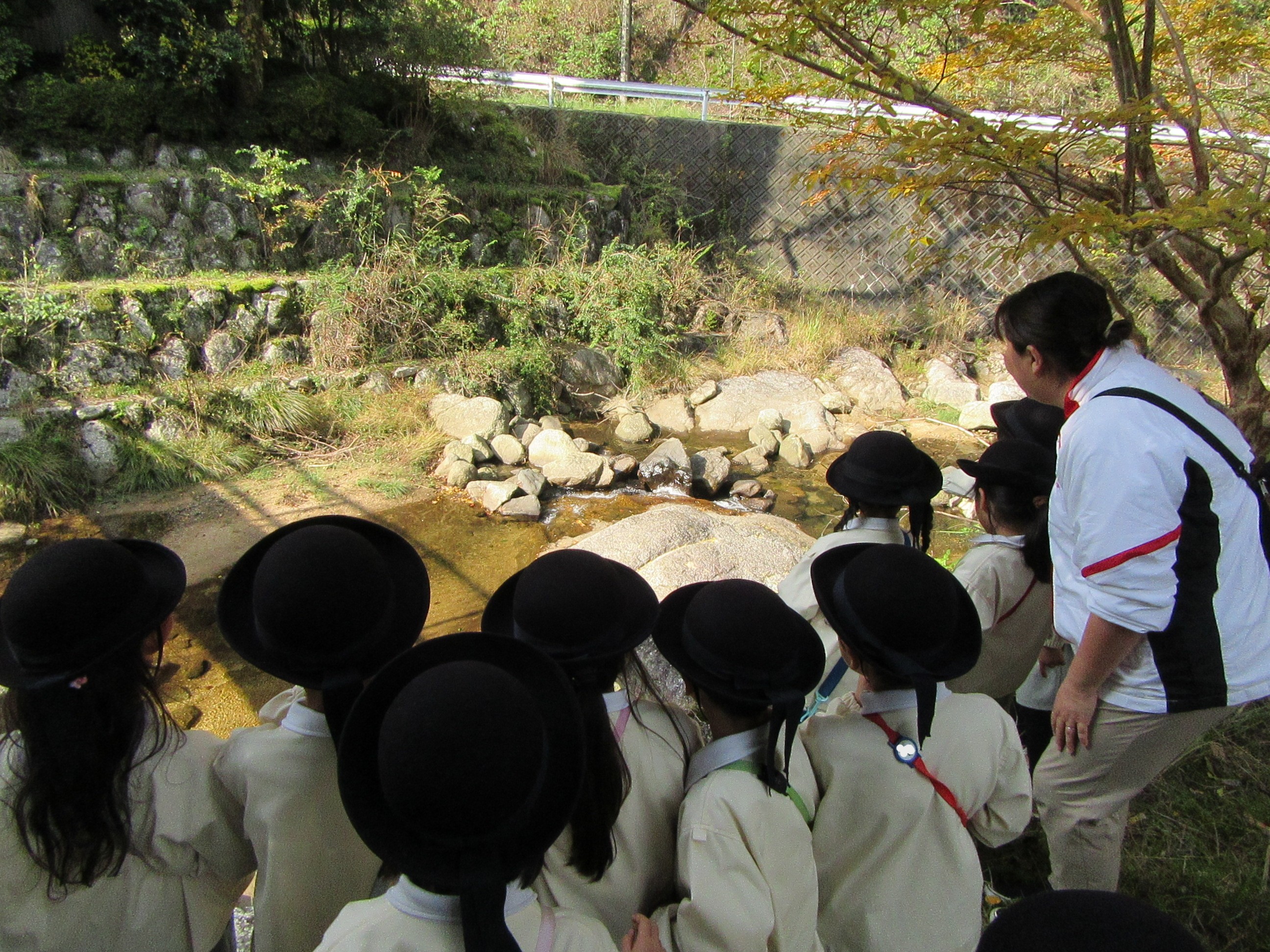 1グループに複数の画像を表示1