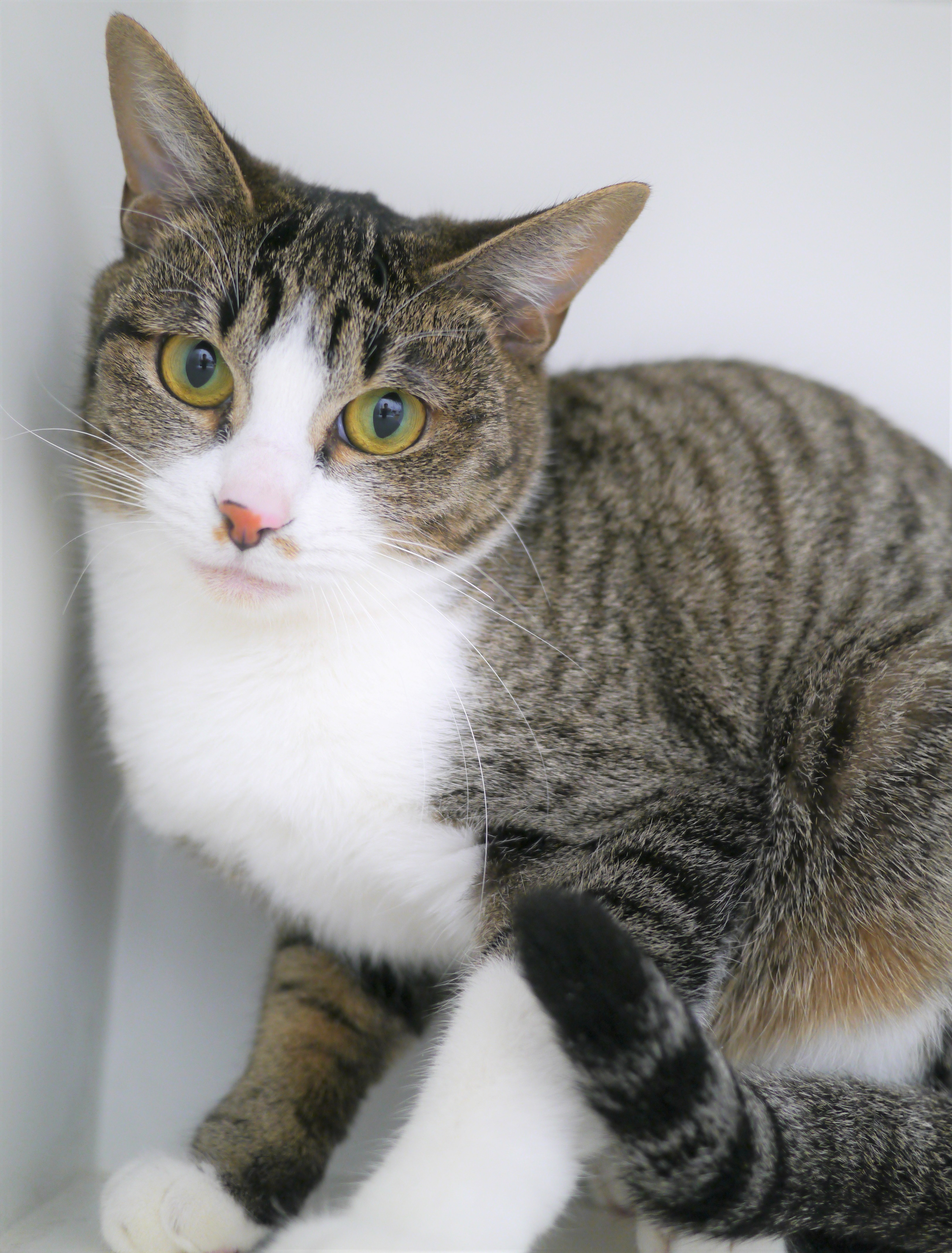 左寄せパターン