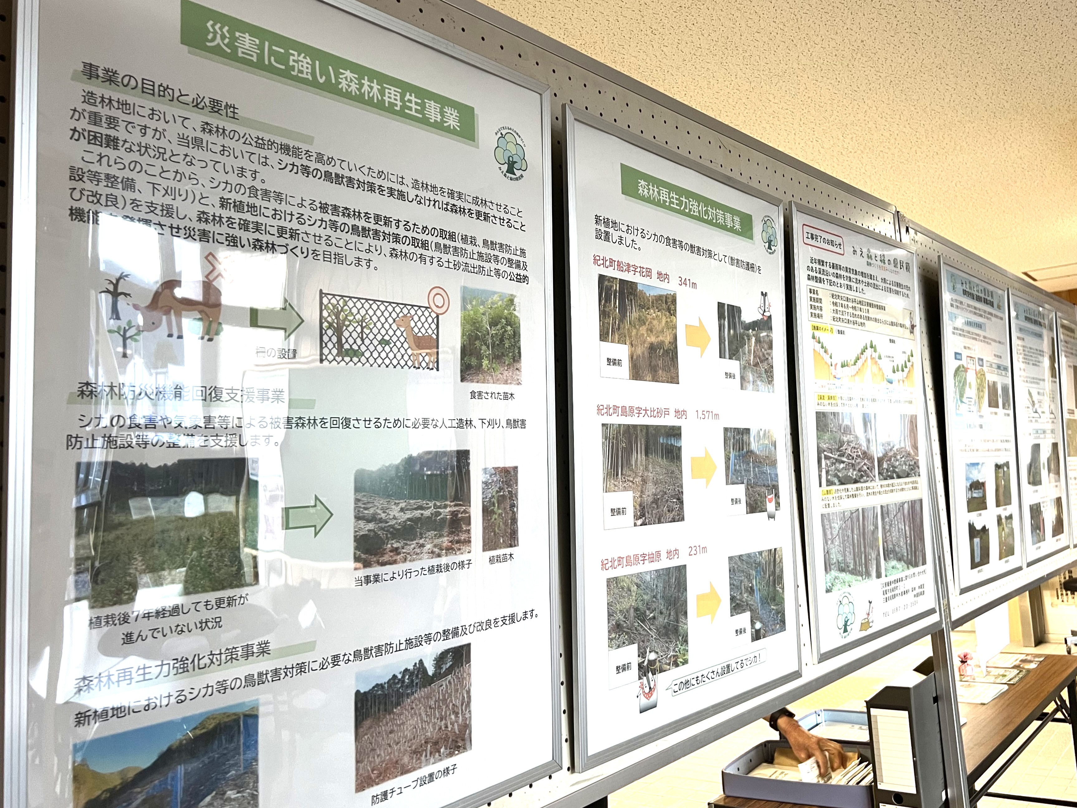 みえ森と緑の県民税パネル展示3