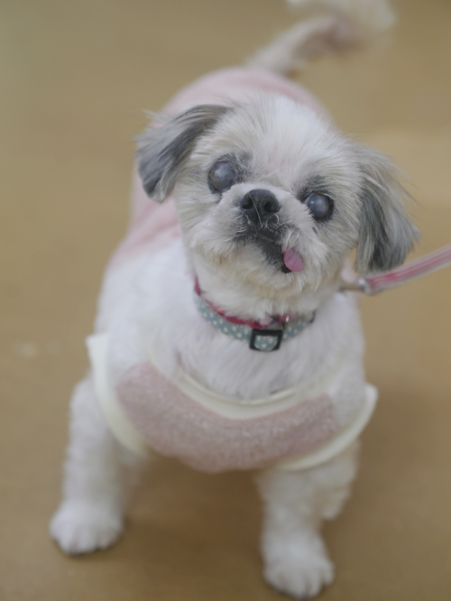 左寄せパターン