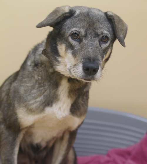 左寄せパターン