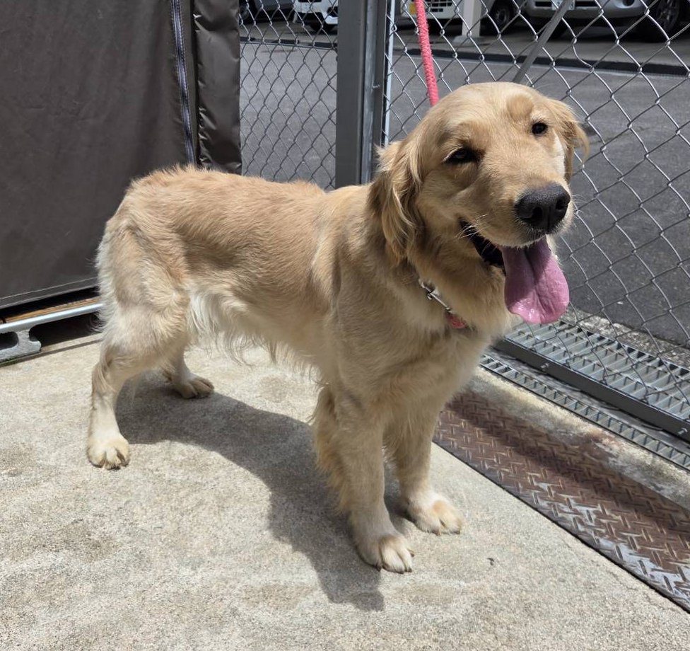 左寄せパターン