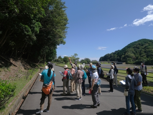 大白公園は、熊野灘臨海公園の一部として整備されています。大白地を周回する遊歩道や海岸を散策しながら、樹木の分類や名前の由来、生態について学びます。