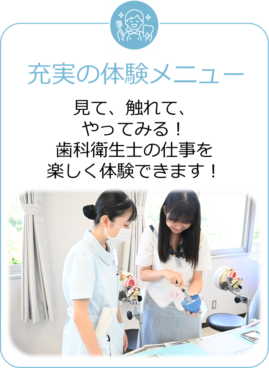 充実の体験メニュー