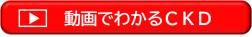 動画で見る