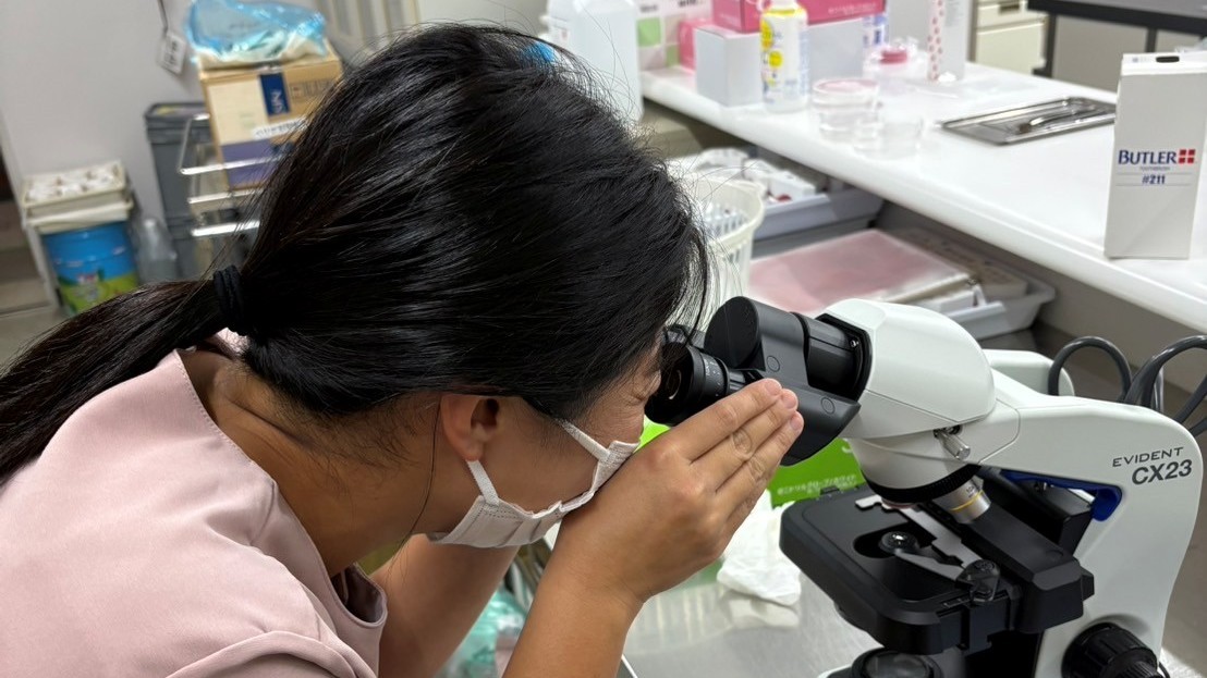 新しい教育用顕微鏡を操作している様子