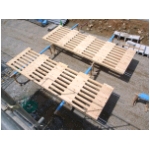 RIMG1358.JPG