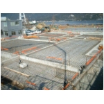20060207.JPG